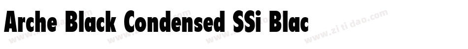 Arche Black Condensed SSi Black Condensed Italic字体转换